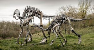 Çayırda duran yetişkin ve yavru Maiasaura iskeleti