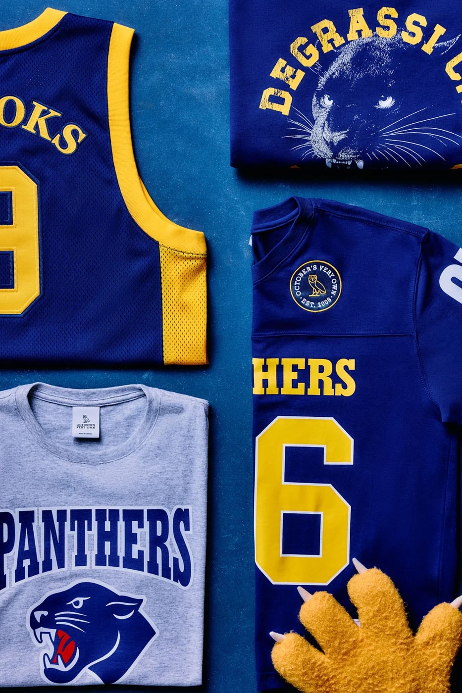 Jimmy Brooks basketbol forması ve Panthers tişörtleri