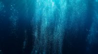 Above the Below fragmanı için karanlık derin okyanus