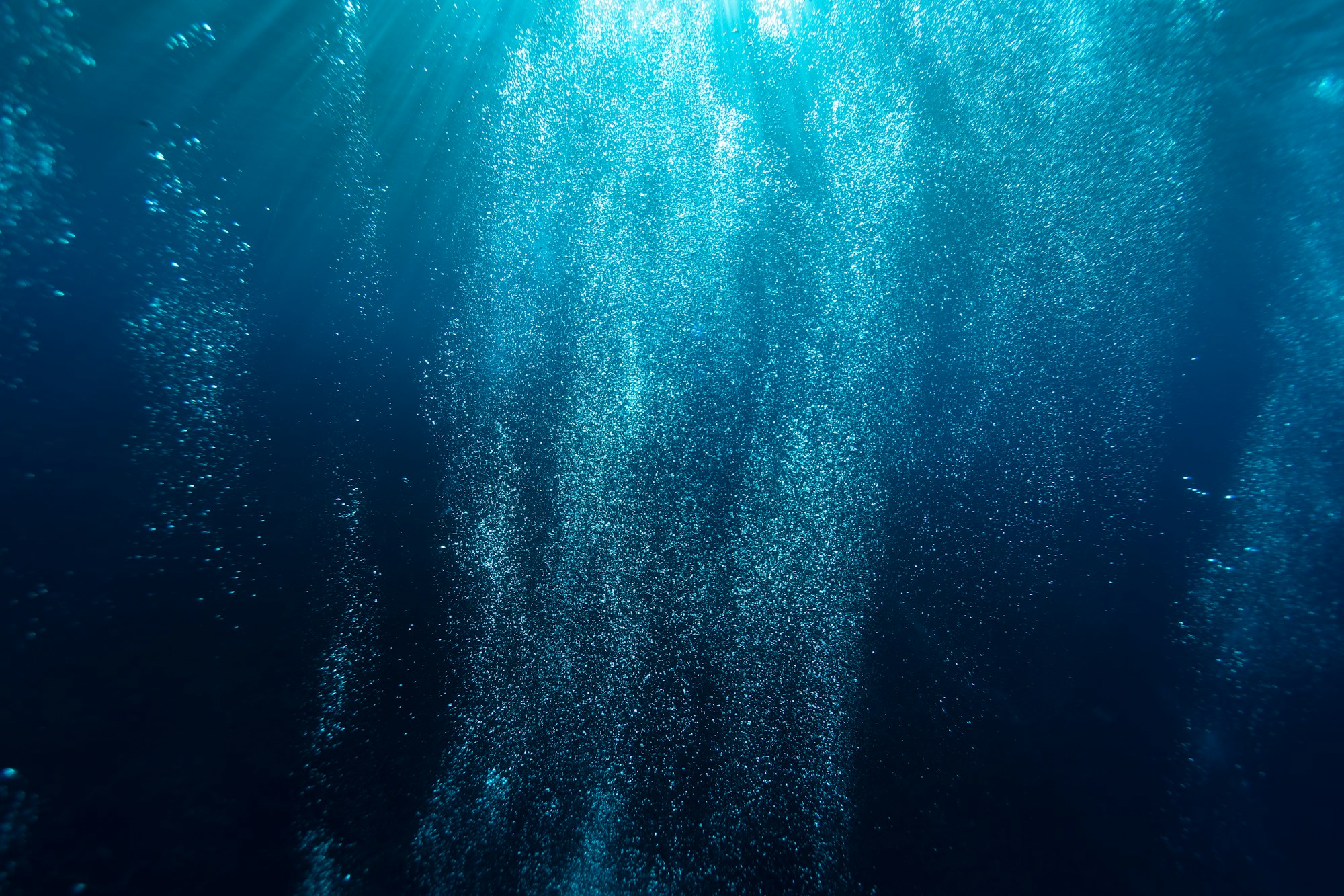 Above the Below fragmanı için karanlık derin okyanus