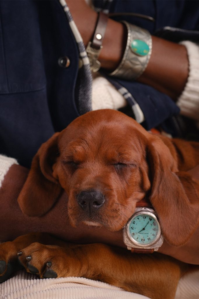 Ralph Lauren Western Cushion bilekte, köpek yavrusunun yanında